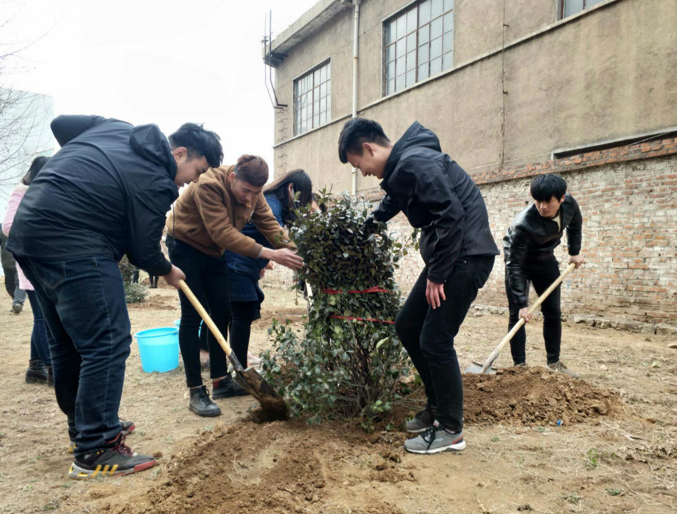 2017植树节DIY绿化创意设计实践活动如期举行